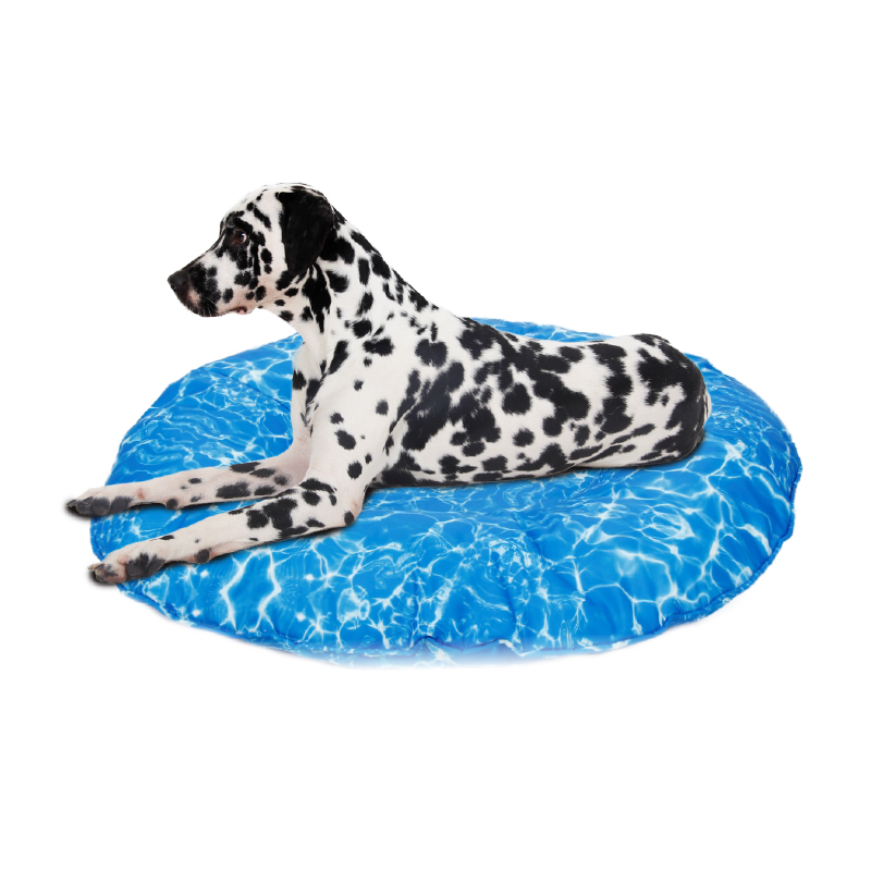 Summer Series Filled with Foam Particles Floating Pet Bed