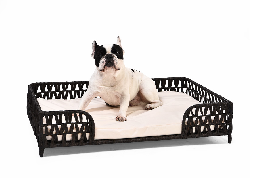 Removable Pet Cat Bed Summer Cool