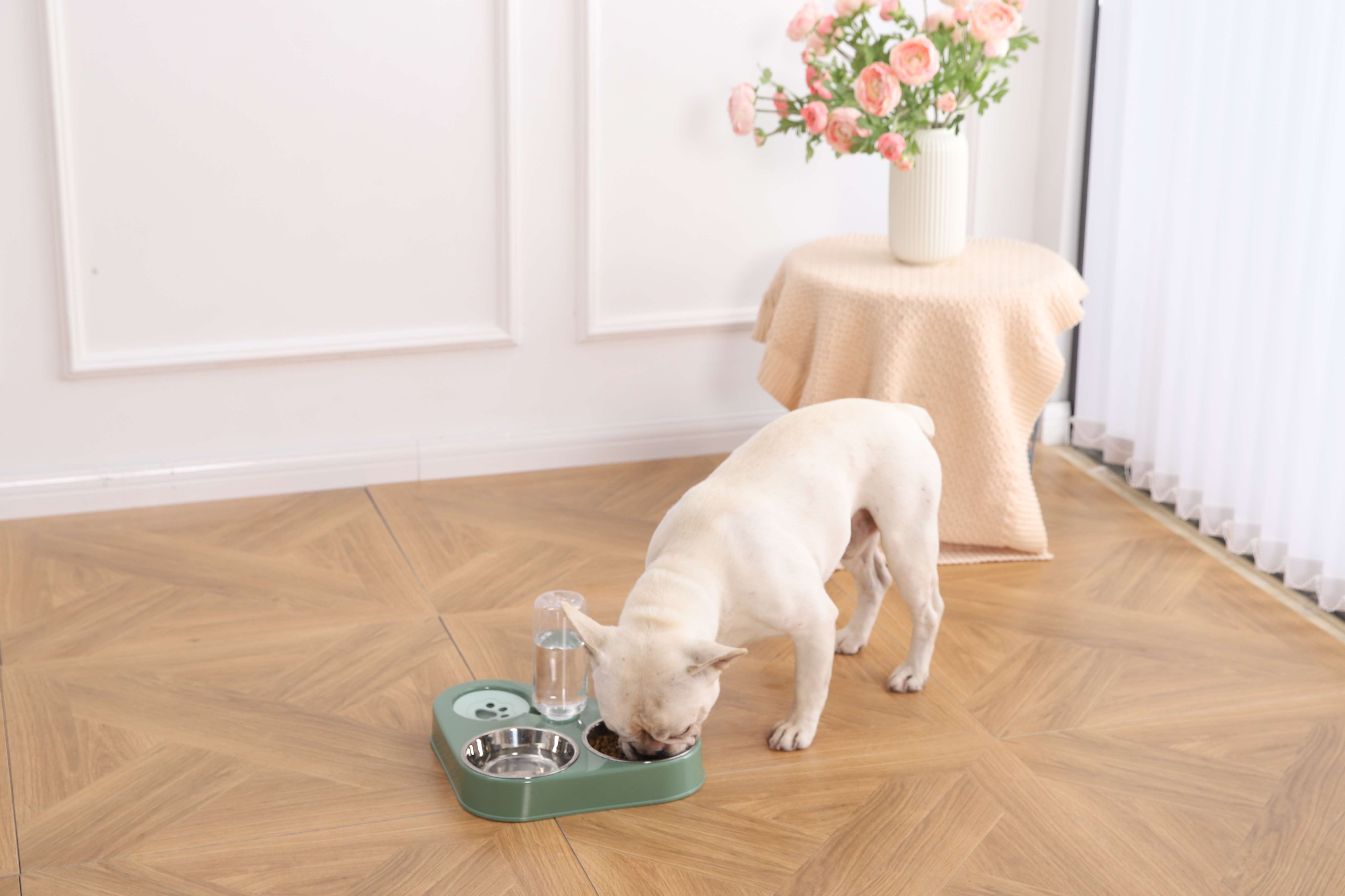 Spill Proof Dog Water Bowl Stainless Stell Double Food Bowl Dog Feeder