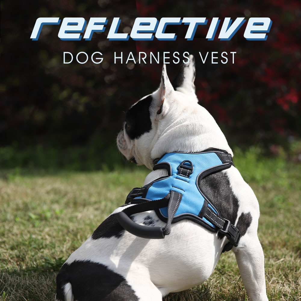 Custom Reflective Dog Harness Vest